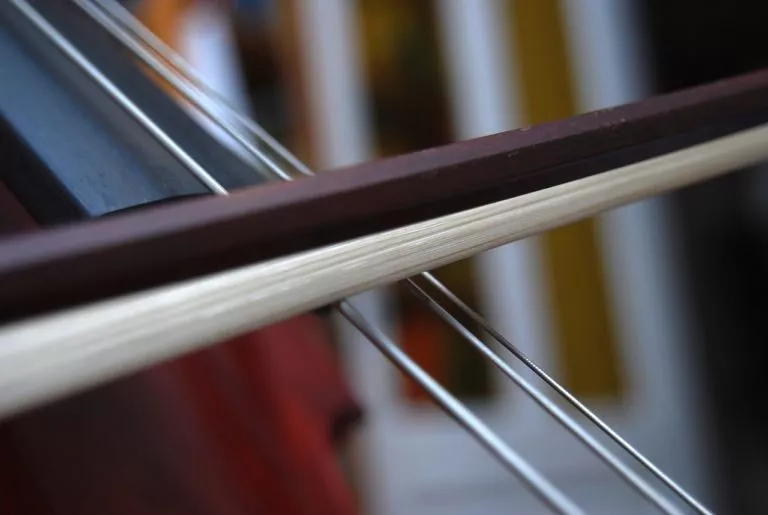 Finding the Right Cello Bow A Beginner s Guide