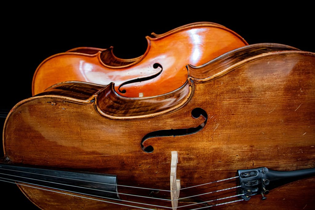 How to Rent a Cello Everything You Need to Know!