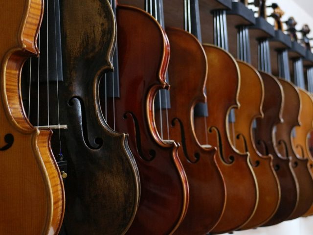 How to Rent a Cello – Everything You Need to Know!