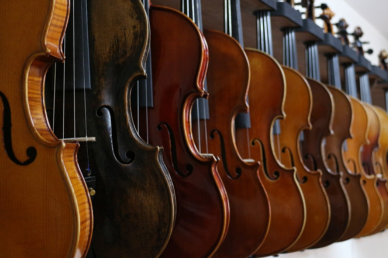 How to Rent a Cello Everything You Need to Know!